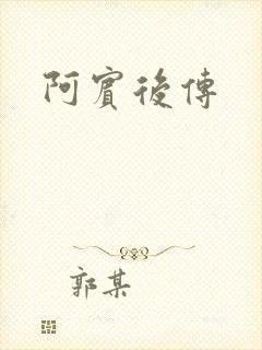 阿宾后传