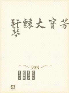 轩辕大宝芳菲雅琴