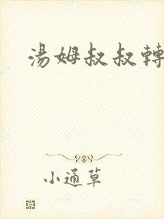 汤姆叔叔转接口