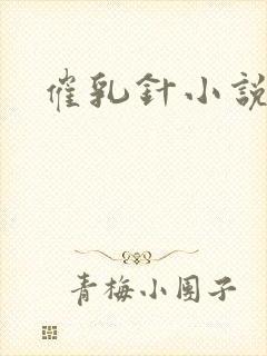 催乳针小说