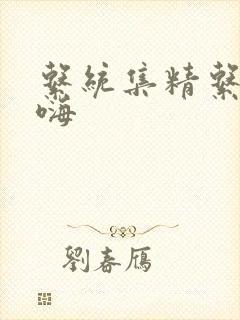 系统集精系统高嗨