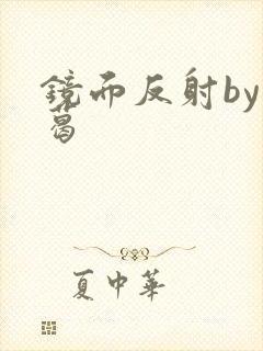 镜面反射by九葛