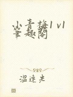 小青梅1 v1笔趣阁