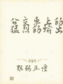 公交车上的诗请猛烈的输出阅读