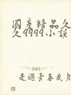 国产精品久久久久9999小说