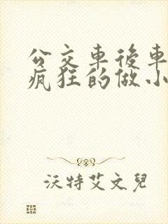 公交车后车座的疯狂的做小