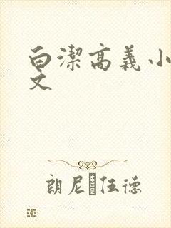 白洁高义小说全文