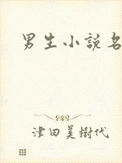 男生小说名字