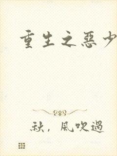 重生之恶少