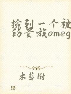 捡到一个被抹布的贵族omega