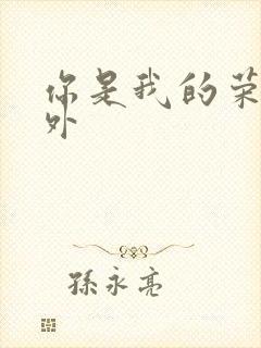 你是我的荣耀番外