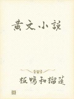 黄文小说
