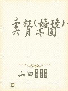 旁枝(婚后)十六月亮圆