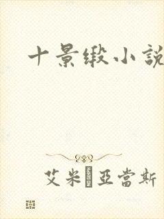 十景缎小说