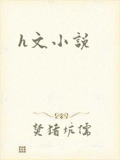 h文小说