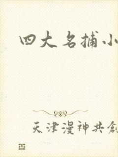四大名捕小说