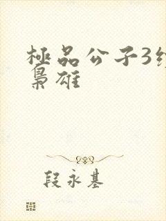 极品公子3续世枭雄