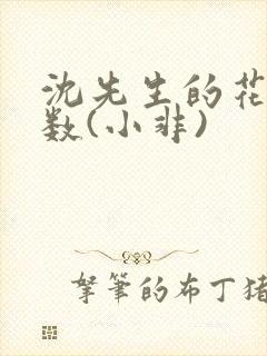 沈先生的花式调数(小非)