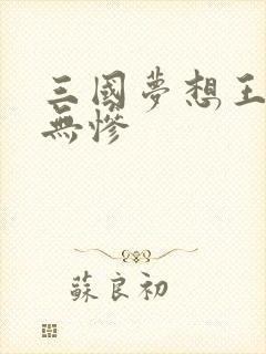 三国梦想王元姬无惨