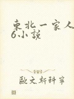 东北一家人1一6小说