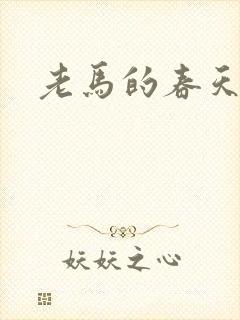老马的春天敏静