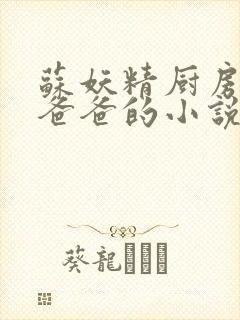 苏妖精厨房爹爹爸爸的小说