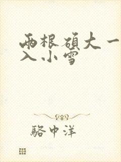 两根硕大一起挤入小雪