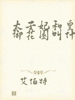 太子妃和皇帝在御花园叫什么小说