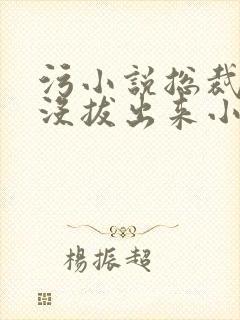 污小说总裁整夜没拔出来小说在线阅读