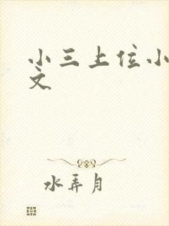 小三上位小说全文