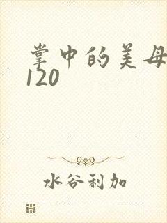 掌中的美母版主120