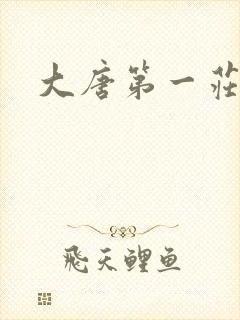 大唐第一庄