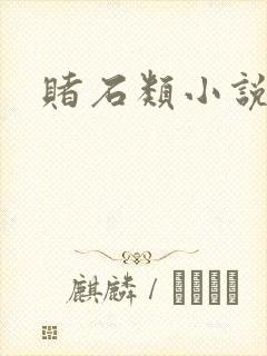 赌石类小说
