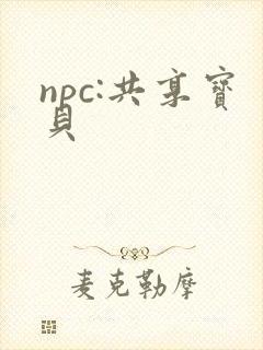 npc:共享宝贝