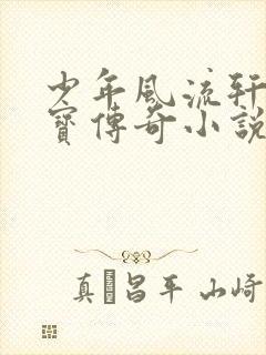 少年风流轩辕大宝传奇小说