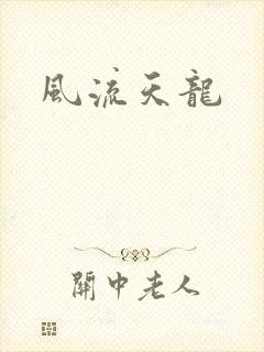 风流天龙封面
