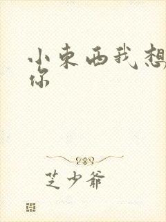 小东西我想弄坏你