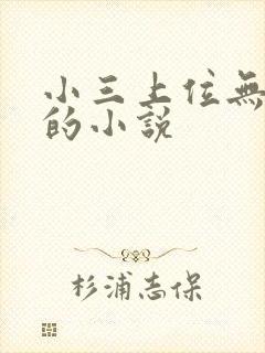 小三上位无三观的小说