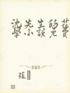 沈先生的花式教学小说免费封面