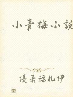 小青梅小说