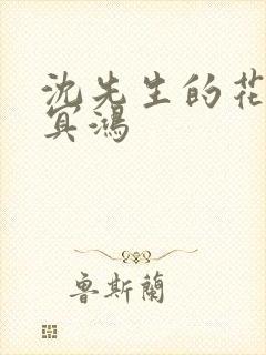 沈先生的花式调冥鸿