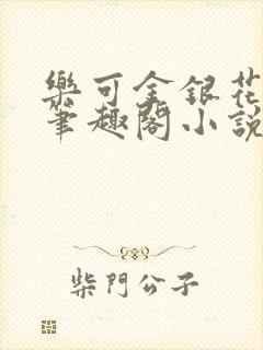 乐可金银花免费笔趣阁小说