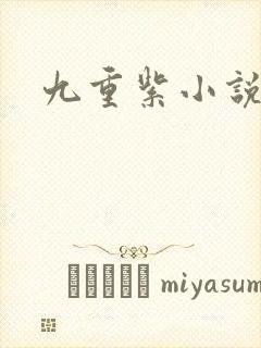 九重紫小说