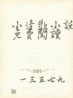 小清欢小说全文免费阅读
