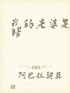 我的老婆是狐狸精