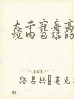 太子宠妾高肉红烧肉包讲的什么