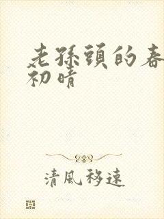 老孙头的春天林初晴