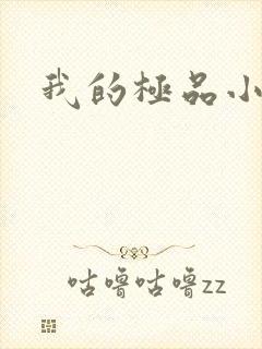 我的极品小姨