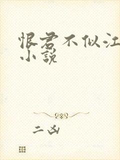 恨君不似江楼月小说