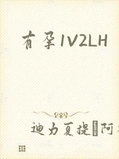 有孕1V2LH